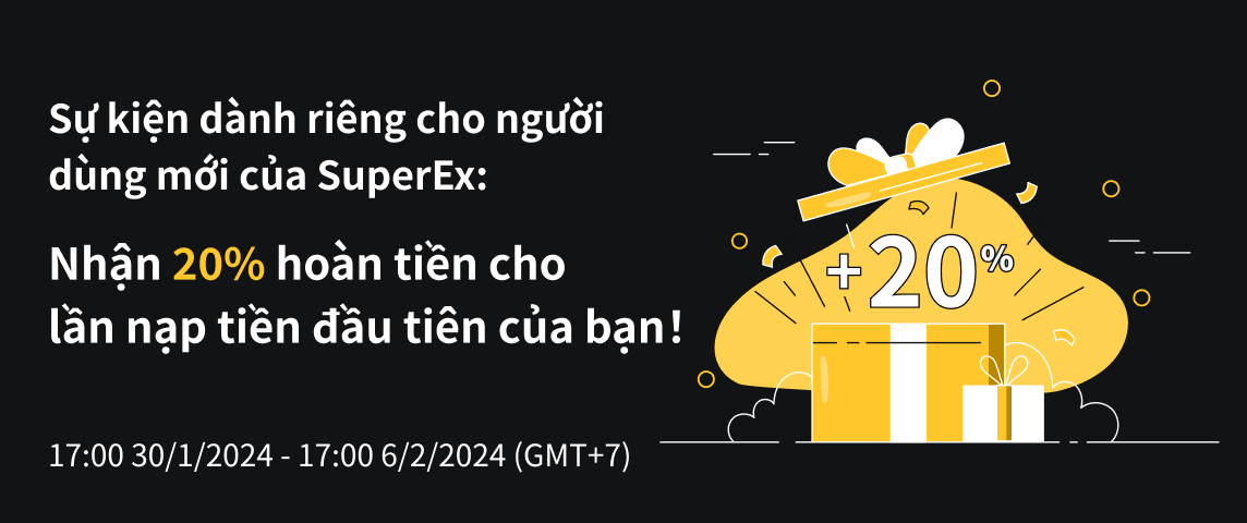 PC  越南.png