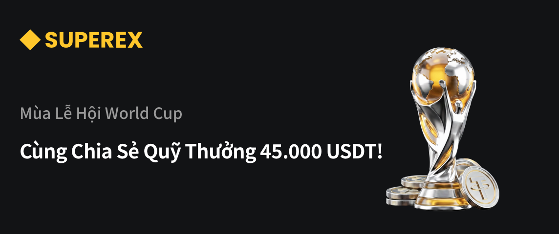 PC  越南.png